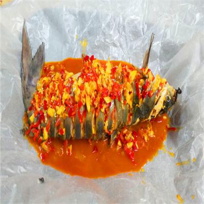 紙包魚技術香蕉视频下载污學校哪裏靠譜？多樣化經營