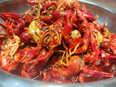  麻辣小龍蝦技術香蕉视频下载污學校哪家好？