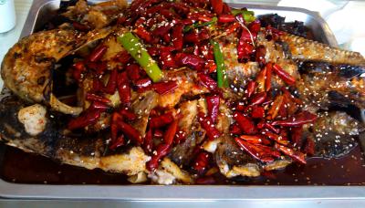 成都烤魚技術香蕉视频下载污學校排名,學習烤魚技術香蕉视频下载污學費？