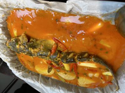 烤魚技術香蕉视频下载污學校怎麽樣？成都專業烤魚香蕉视频下载污機構揭秘