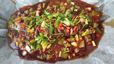 成都烤魚香蕉视频下载污哪家好?萬州烤魚香蕉视频下载污在哪裏學比較好？